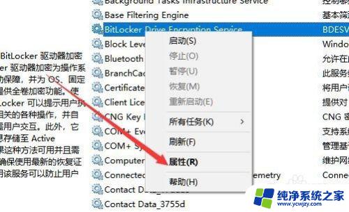 win10控制面板找不到bitlocker Win10控制面板中缺少BitLocker加密文件夹选项