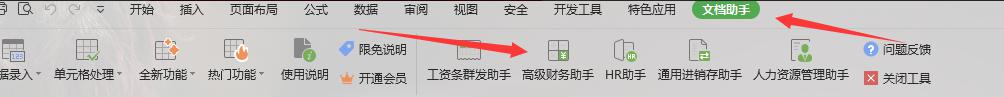 wps高级财务助手 如何调出