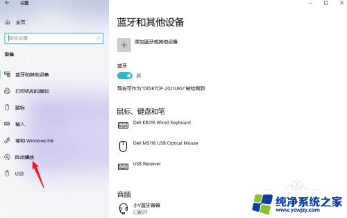 win10自动播放设置