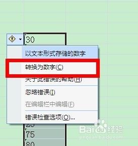 文本格式不能求和怎么解决 Excel中文本格式数字如何进行加总计算