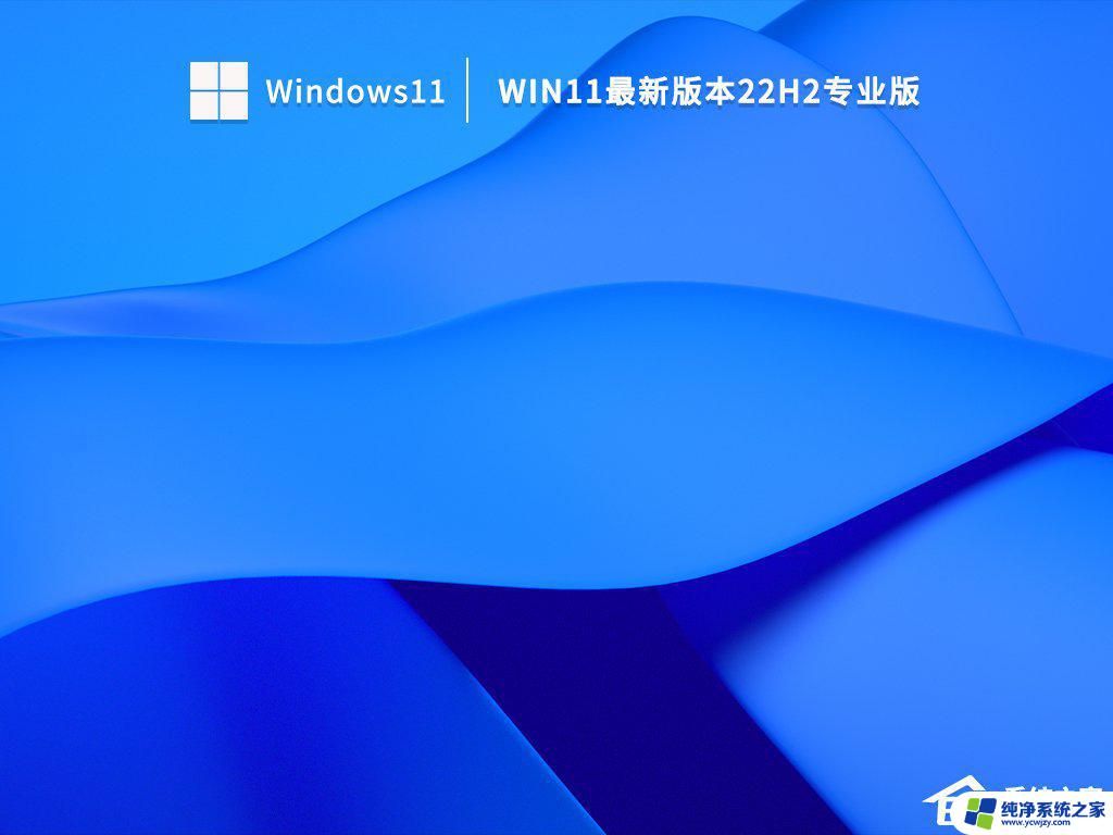 win11选择系统 Win11系统安装选哪个版本