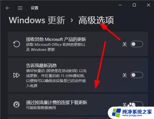 win11更新高级选项如何设置 Windows11如何设置自动更新的高级选项