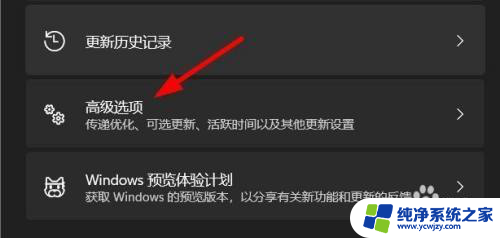 win11更新高级选项如何设置 Windows11如何设置自动更新的高级选项