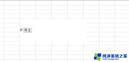 excel勾选的小方框 在Excel中插入可以勾选的方框的方法