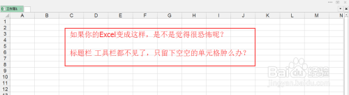 excel隐藏了工具栏怎么恢复 Excel被隐藏的菜单栏工具栏怎样恢复