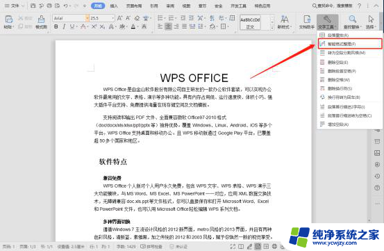 wps如何使用“智能格式整理”进行排版