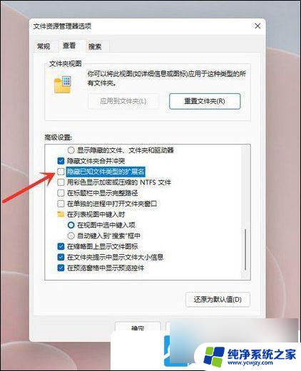 电脑文件显示后缀名设置win11