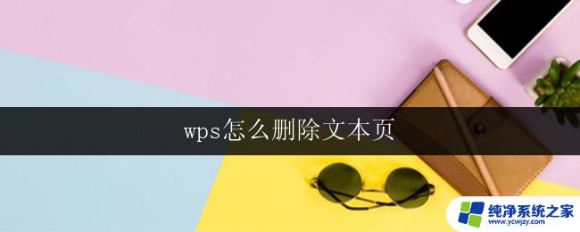 wps怎么删除文本页 wps删除文本页的具体操作步骤