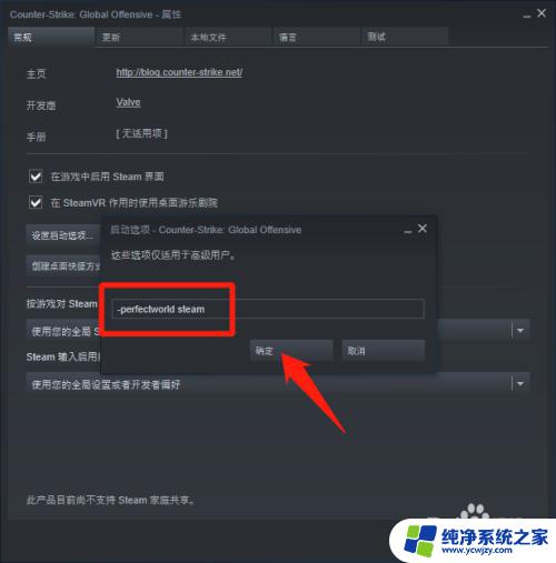 没有使用csgo国服启动器怎么解决 CSGO没有国服启动器无法组队游戏怎么办