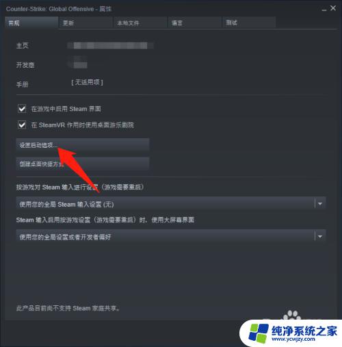 没有使用csgo国服启动器怎么解决 CSGO没有国服启动器无法组队游戏怎么办