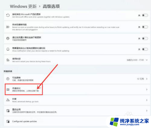 win11怎么打开传递优化