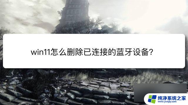 win11删除蓝牙设备失败