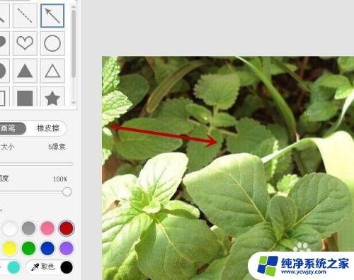 怎么在图片上做箭头标记 在图片上画箭头的技巧