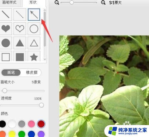 怎么在图片上做箭头标记 在图片上画箭头的技巧