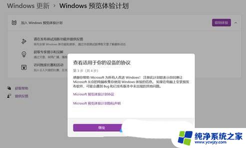 怎么关掉windows预览计划 Win11预览计划的退出步骤