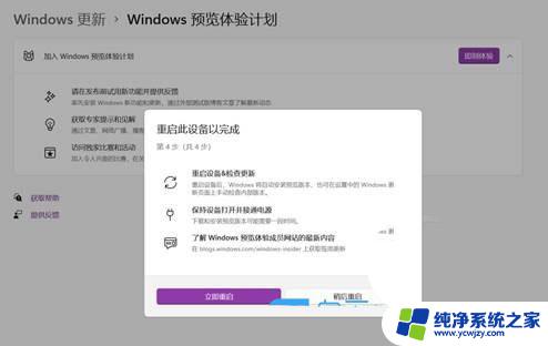 怎么关掉windows预览计划 Win11预览计划的退出步骤