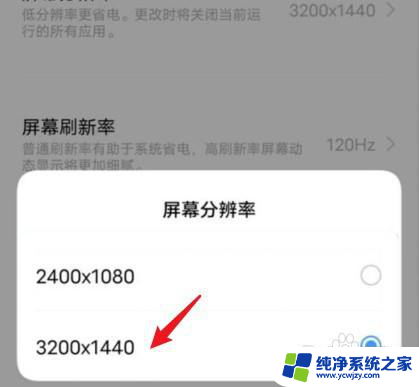 vivo怎么查看屏幕分辨率 vivo手机分辨率如何查看