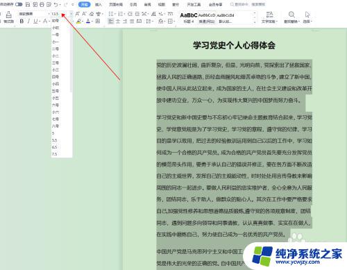 word文档怎么改文本格式 Word文本格式调整方法