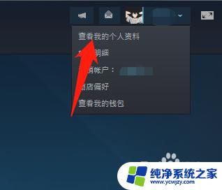 steam怎么不显示游戏 怎么设置Steam好友无法看到自己在玩什么游戏