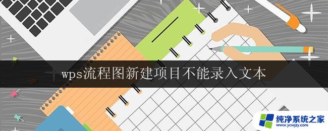 wps流程图新建项目不能录入文本 wps流程图新建项目不能录入中文文本怎么办