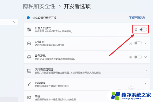 win11开发者模式怎么开 Win11开发者模式如何开启