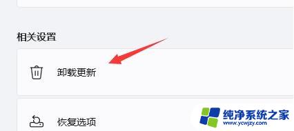 电脑更新win11后闪屏