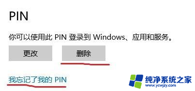 win10创建pin是什么意思啊