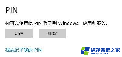 win10创建pin是什么意思啊