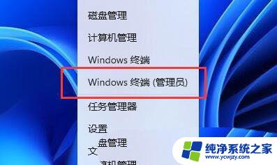 win11百灵快传 闪退