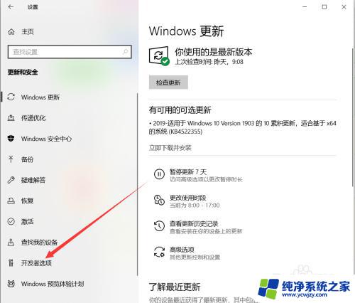 电脑开发者选项在哪里打开 win10系统如何开启开发者选项功能