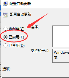 win10一直自动输入 Win10键盘一直自动输入文字的原因和解决方案