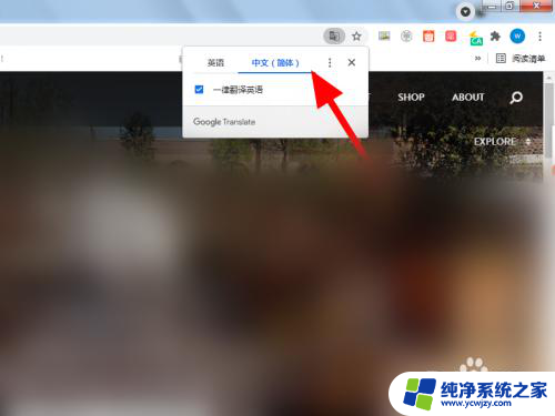 谷歌网页怎么翻译成中文 谷歌浏览器翻译设置方法