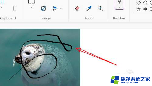 win11截图点击截图不能直接涂鸦是为什么 Win11画图软件如何进行图片涂鸦
