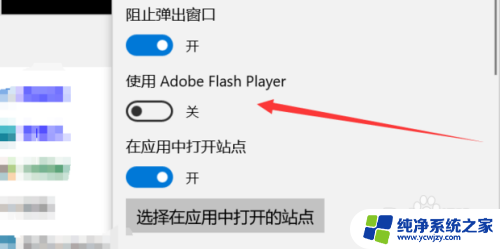 win10浏览器每次都要允许flash