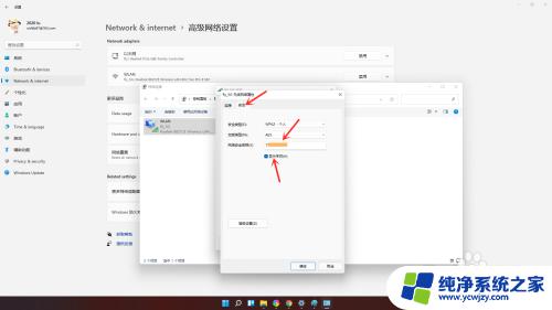 win11怎样查看wifi密码 win11忘记wifi密码如何查看