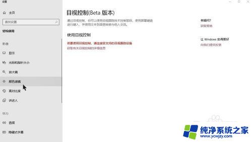 电脑滤镜怎么开 使用快捷键在Windows10系统中打开或关闭滤镜