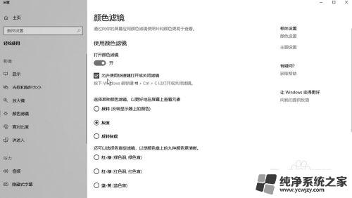 电脑滤镜怎么开 使用快捷键在Windows10系统中打开或关闭滤镜