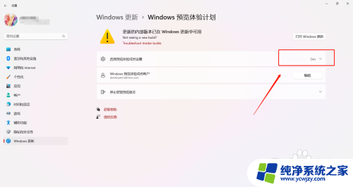 win11区域勾选beta版在哪里 Windows 11预览体验计划的不同版本如何修改