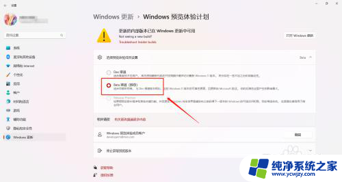 win11区域勾选beta版在哪里 Windows 11预览体验计划的不同版本如何修改