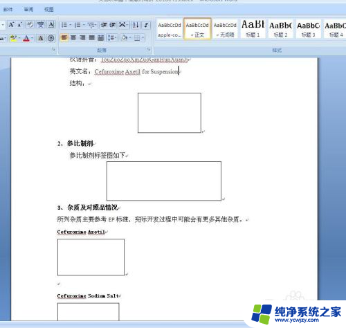 为什么word图片显示不出来 Word文档插入的图片不显示