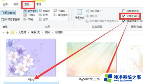 电脑如何显示扩展名