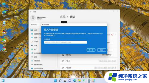 win11本地用户激活