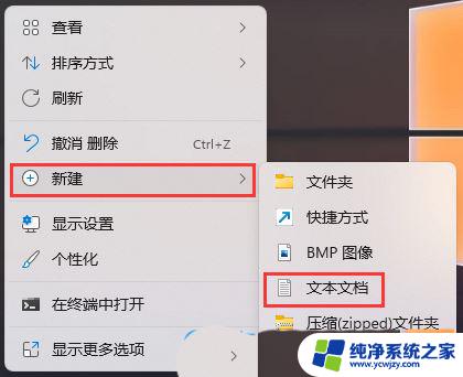 win11双击视频文件没反应