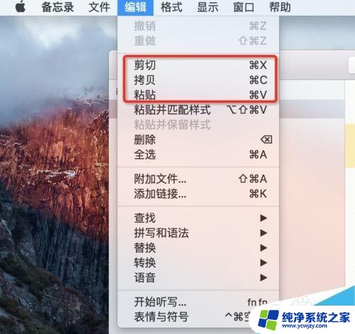 苹果电脑粘贴复制快捷键ctrl加什么 MAC系统的复制黏贴快捷键是什么