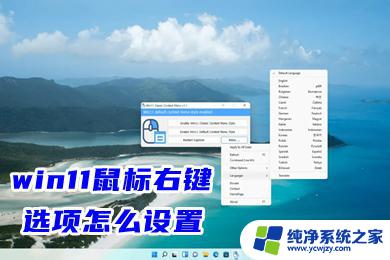 win11如何把右键的折叠调没 win11鼠标右键选项自定义设置教程