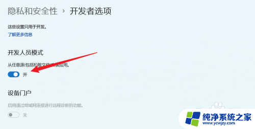 开发者模式怎么打开win11 win11开发者选项怎么打开