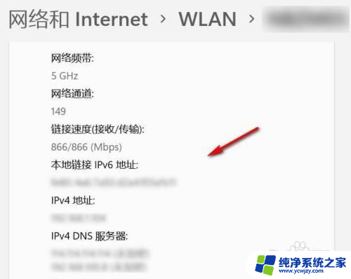 win11 网络连接详细