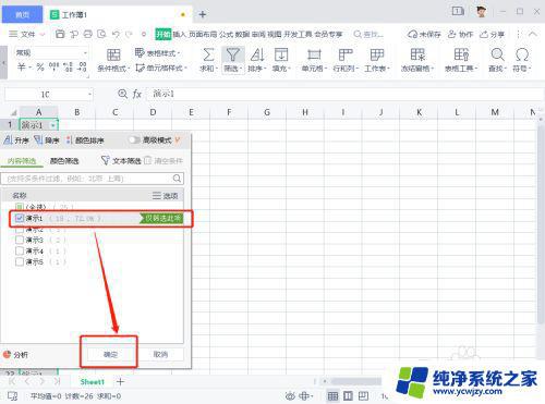 wps自动筛选怎么不显示了 wps自动筛选功能无法显示