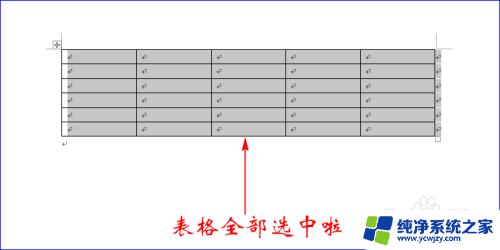 word表格怎么调节行宽行高 Word表格如何设置列宽和行高