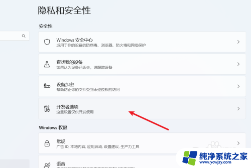 windows11 开发者 Win11如何开启开发者模式